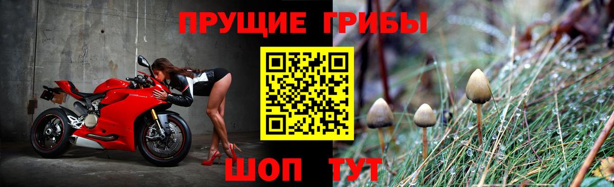 Галлюциногенные грибы Psilocybe  Галлюциногенные грибы GOLDEN TEACHER  Вход с VPN  Абинск 